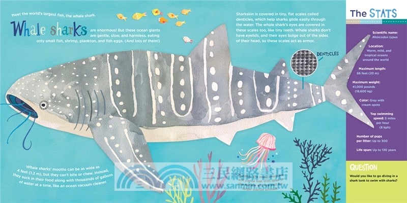 Hello, World! Kids' Guides: Exploring Sharks