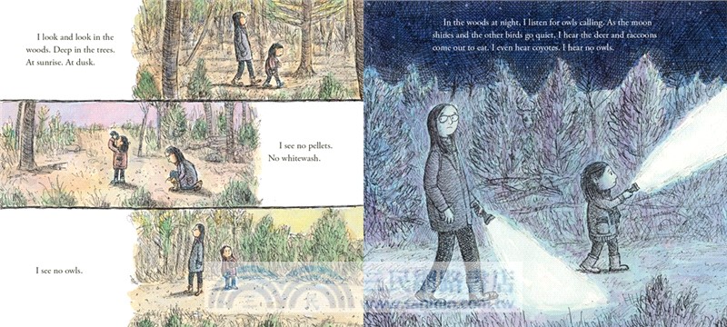 To See an Owl (Chicago Public Library's Best of the Best Books for 2025)