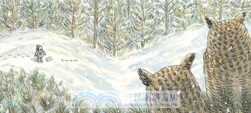 To See an Owl (Chicago Public Library's Best of the Best Books for 2025)