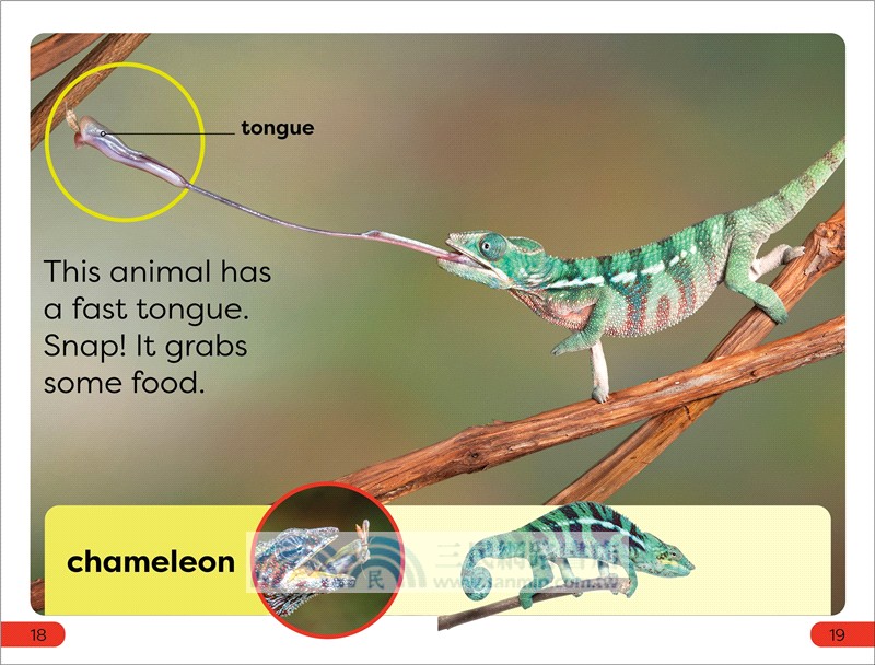 DK Super Readers Pre-Level Box Set (共5本)