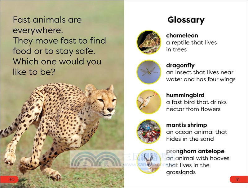 DK Super Readers Pre-Level Box Set (共5本)