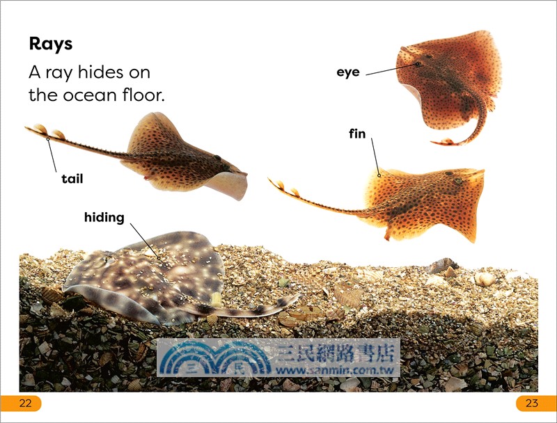 DK Super Readers Level 1 Box Set (共5本)