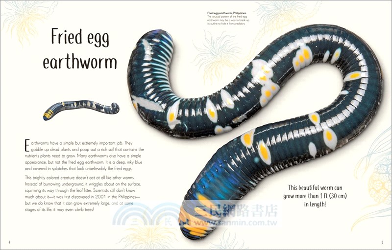 An Anthology of Remarkable Bugs (美國版)