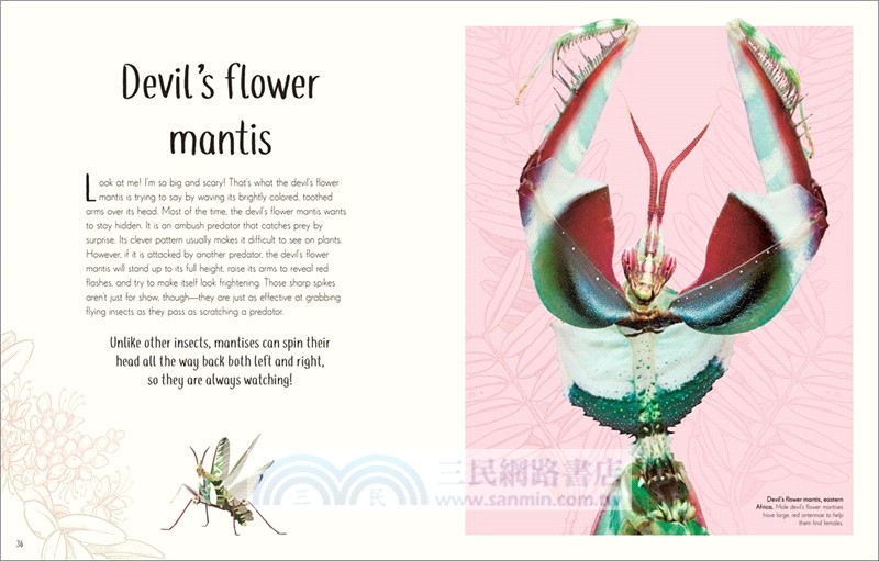 An Anthology of Remarkable Bugs (美國版)