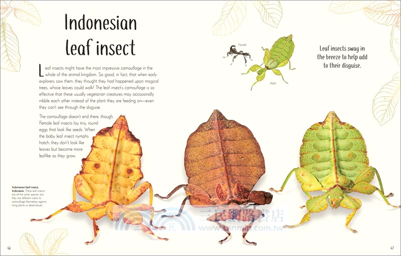 An Anthology of Remarkable Bugs (美國版)