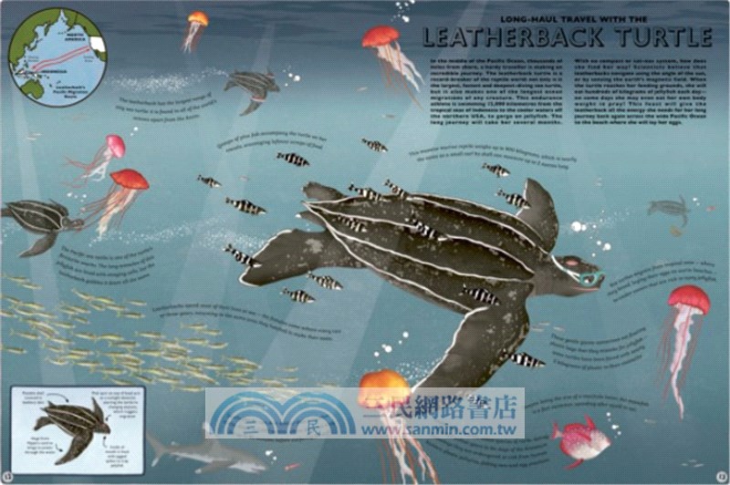 Atlas of Ocean Adventures: A Collection of Natural Wonders, Marine Marvels and Undersea Antics from Across the Globe