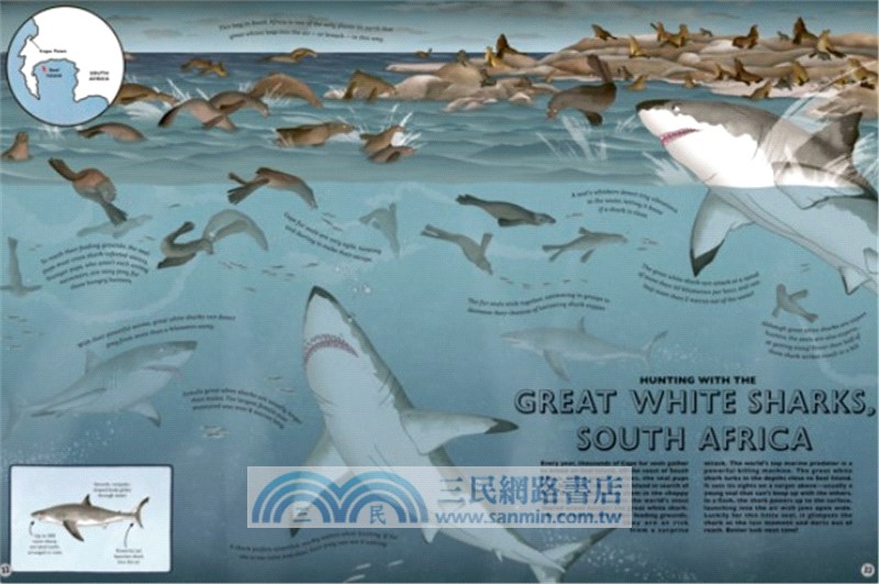 Atlas of Ocean Adventures: A Collection of Natural Wonders, Marine Marvels and Undersea Antics from Across the Globe