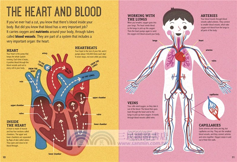 Magic Magnifying Glass: My Amazing Body (放大鏡遊戲書)