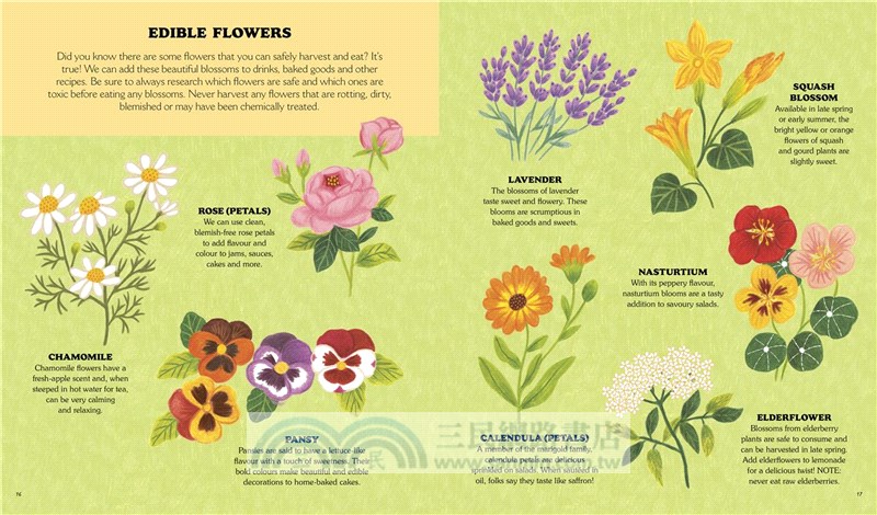 Little Country Cottage: A Spring Treasury of Recipes, Crafts and Wisdom