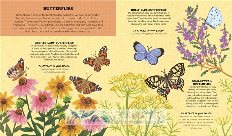 Little Country Cottage: A Summer Treasury of Recipes, Crafts and Wisdom