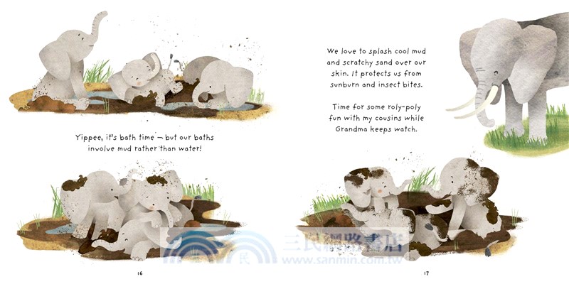 Little Elephant : A Day in the Life of a Elephant Calf