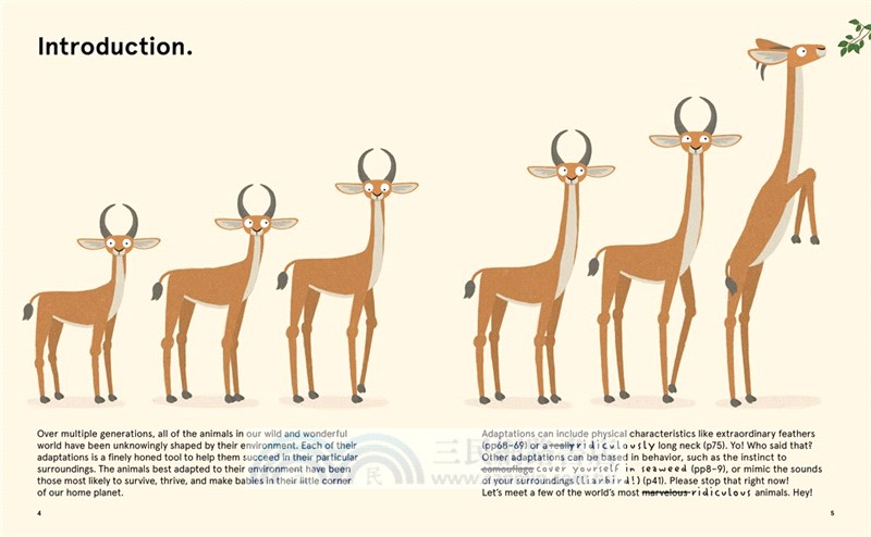 The World's Most Ridiculous Animals