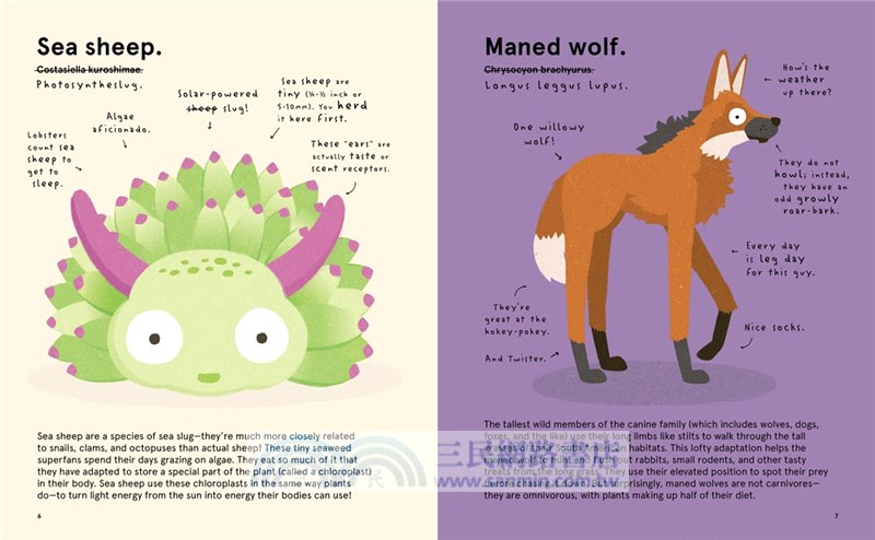 The World's Most Ridiculous Animals