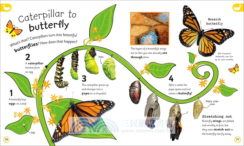 My Encyclopedia of Very Important Things: For Little Learners Who Want to Know Everything (美國版)