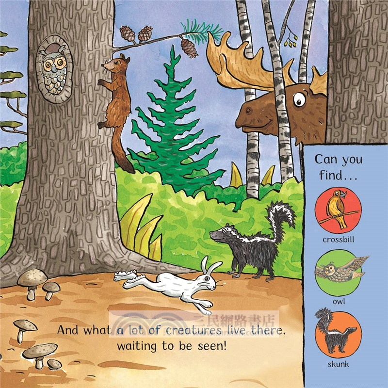 Amazing Animals: Forest Adventure