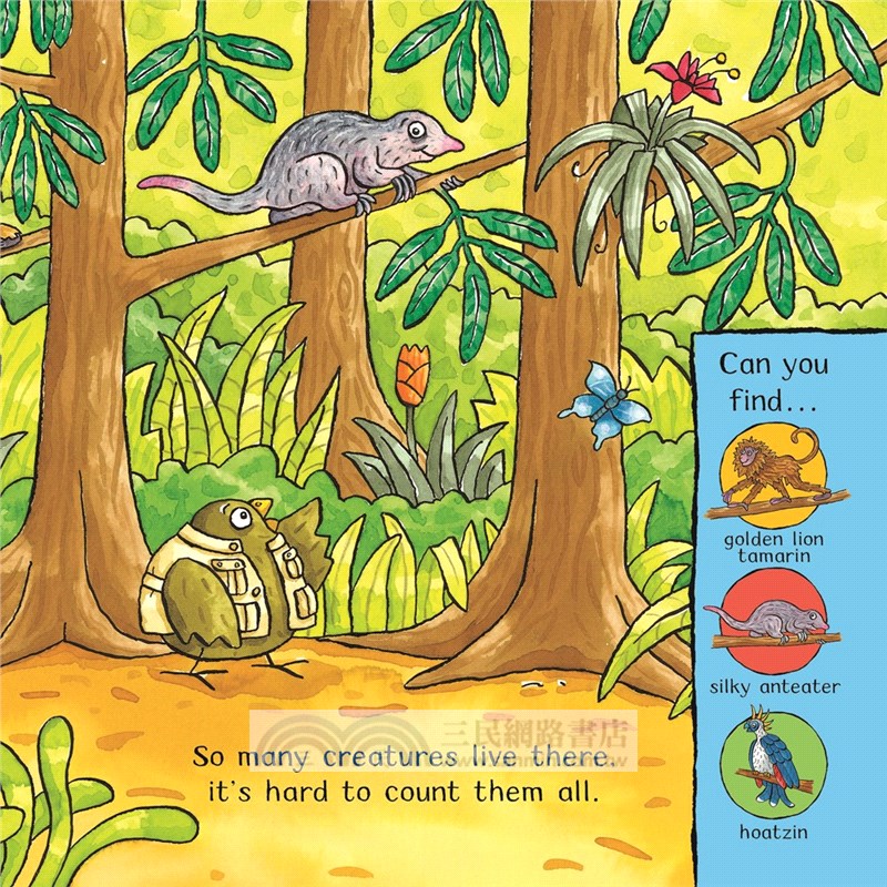 Amazing Animals: Rain Forest Adventure