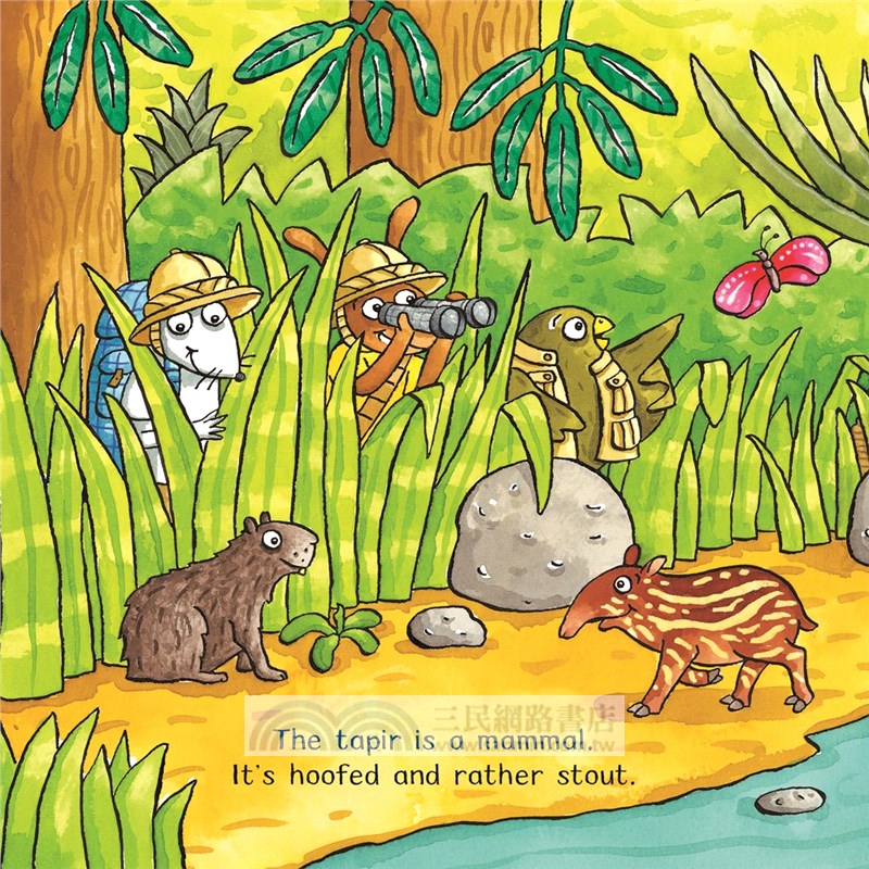 Amazing Animals: Rain Forest Adventure