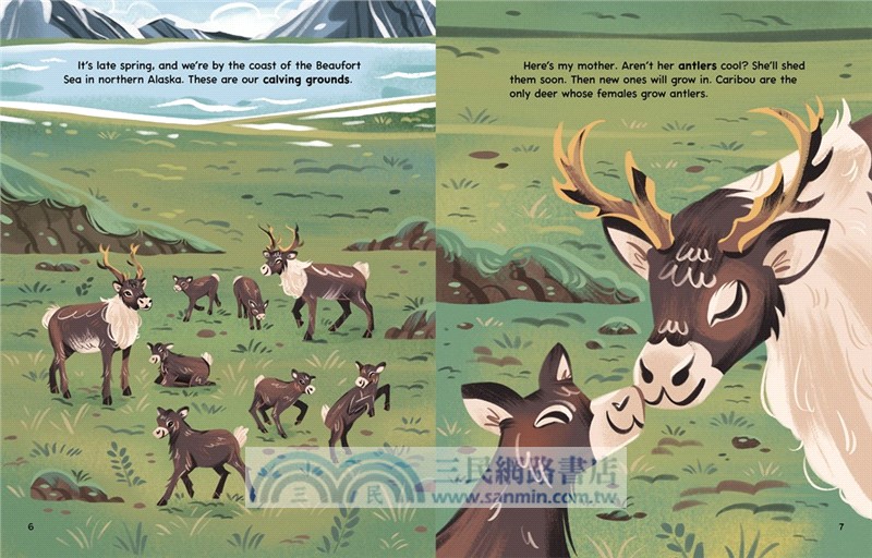 #4 My Caribou Migration Journey (My Animal Migration Story)