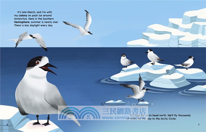 #3 My Arctic Tern Migration Journey (My Animal Migration Story)