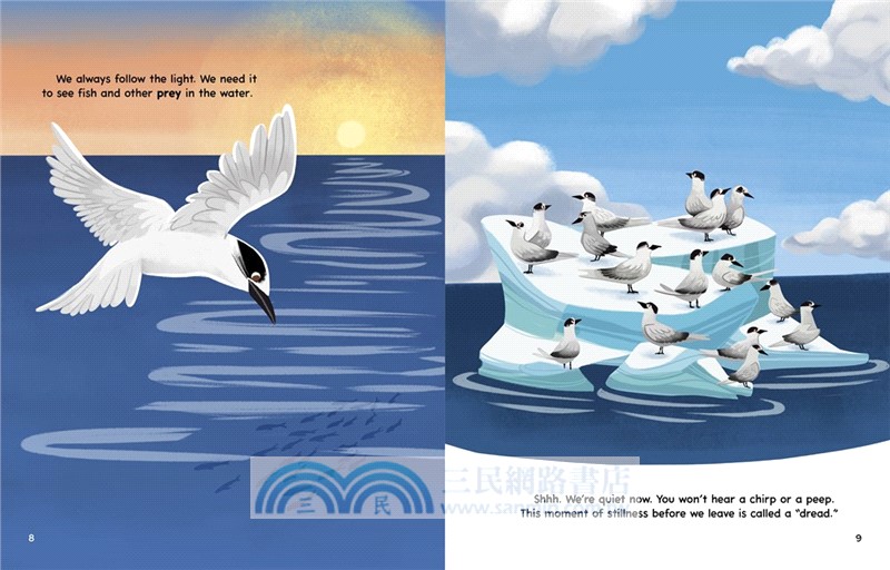 #3 My Arctic Tern Migration Journey (My Animal Migration Story)