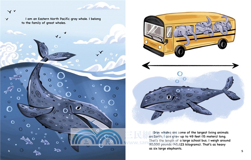 #1 My Gray Whale Migration Journey (My Animal Migration Story)
