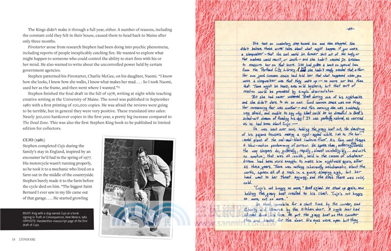 Stephen King: His Life, Work, and Influences (Young Readers' Edition)