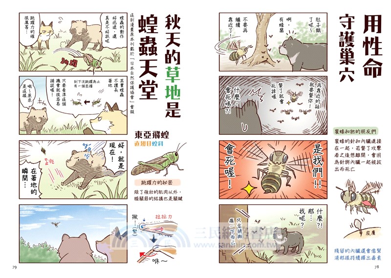 野生動物搞笑日常01-03【全3冊】：原來牠們這樣生活！用4格漫畫觀察四季生態
