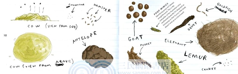 Poop ─ A Natural History of the Unmentionable (平裝本)(美國版)