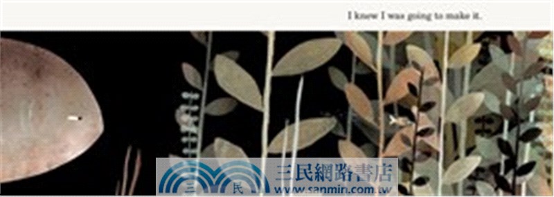 This Is Not My Hat (Caldecott Medal Winner)