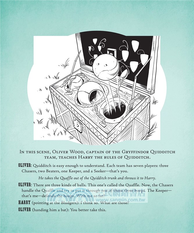 Harry Potter Magical Film Projections ─ Quidditch