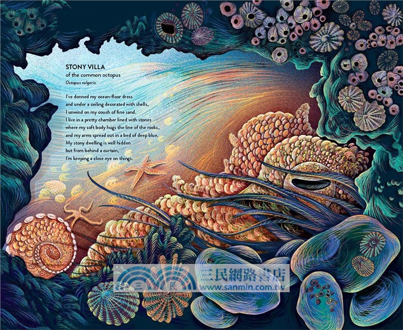 Home (Batchelder Award 2025 Honored)