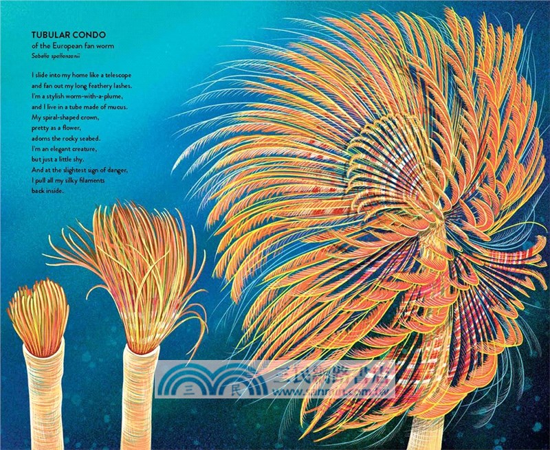 Home (Batchelder Award 2025 Honored)