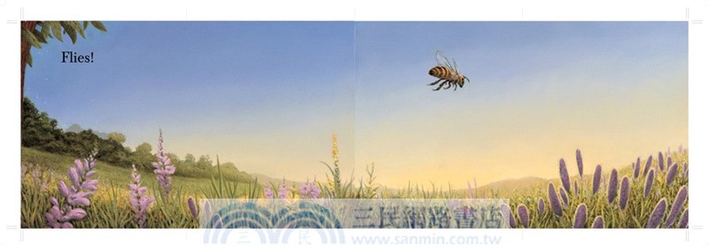 Honeybee: The Busy Life of Apis Mellifera (Robert F. Sibert Medal Winner)