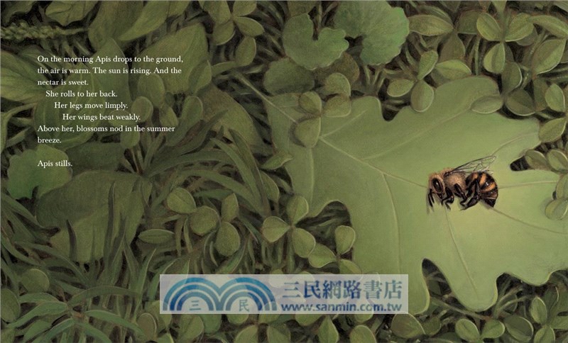 Honeybee: The Busy Life of Apis Mellifera (Robert F. Sibert Medal Winner)