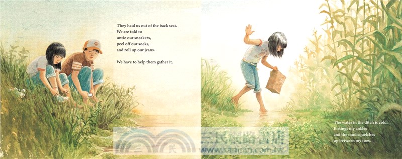 Watercress (Caldecott Medal Winner) 紐伯瑞得獎書