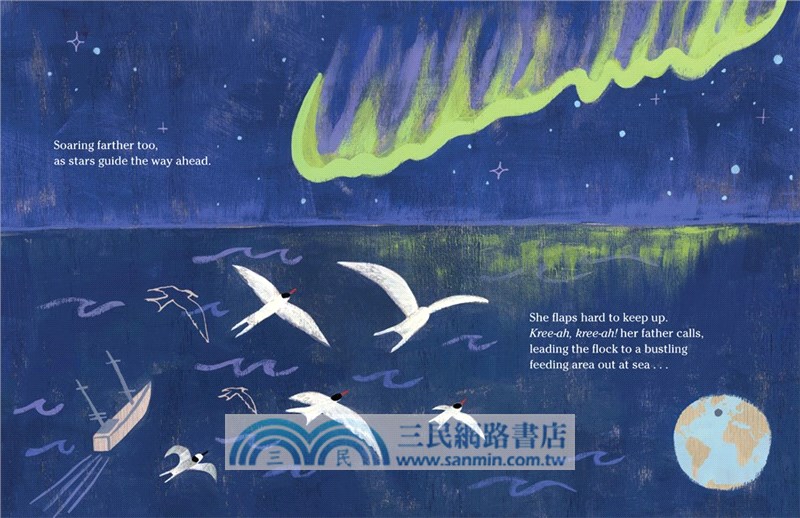 The Longest Journey: An Arctic Tern's Migration