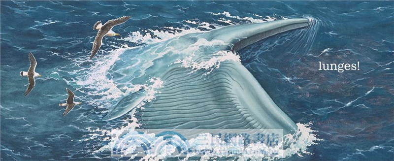 Life After Whale: The Amazing Ecosystem of a Whale Fall (A Junior Library Guild Gold Standard Selection)