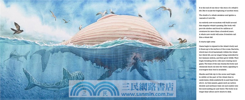 Life After Whale: The Amazing Ecosystem of a Whale Fall (A Junior Library Guild Gold Standard Selection)