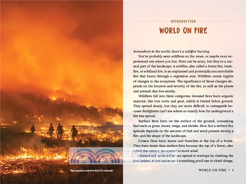 Fire Escape: How Animals and Plants Survive Wildfires