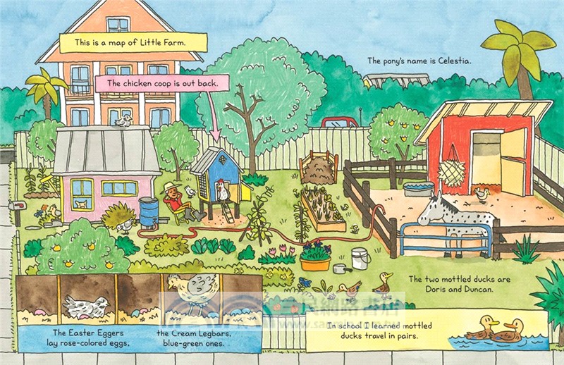 A Book of Maps for You (A Junior Library Guild Gold Standard Selection)