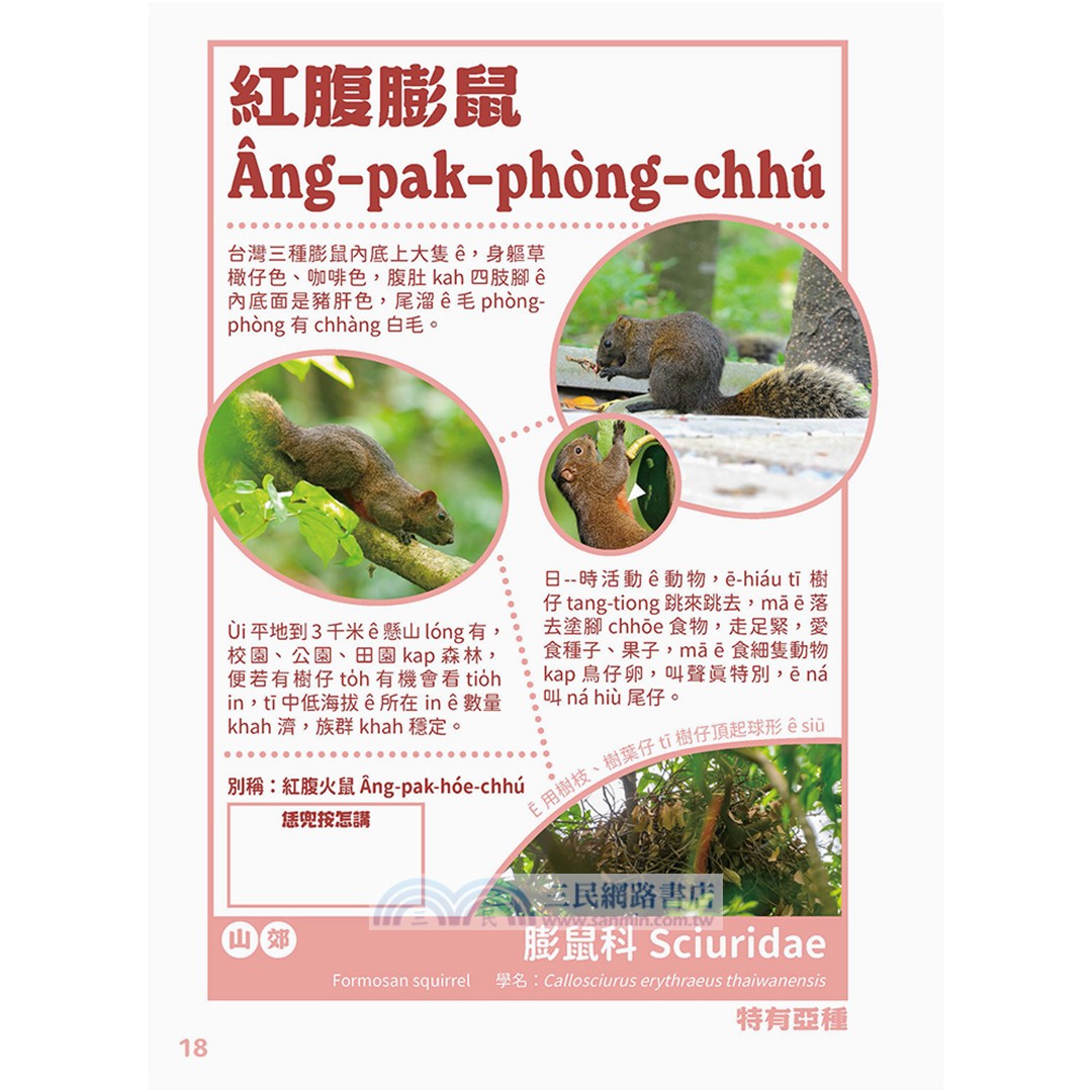 出外講台語：台灣自然生態套冊（動物影音繪本+台語動物圖鑑，共三冊）