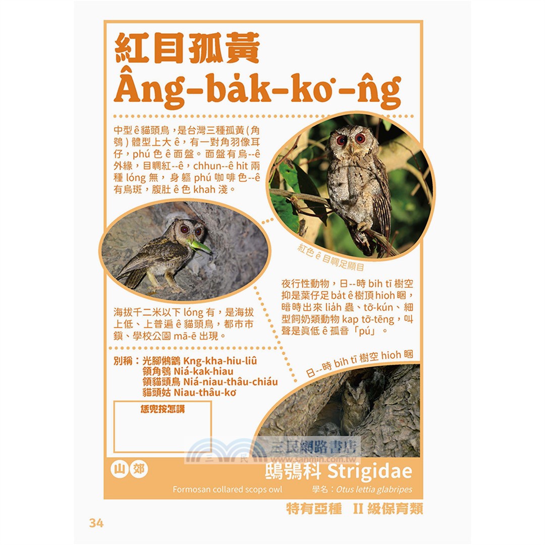 出外講台語：台灣自然生態套冊（動物影音繪本+台語動物圖鑑，共三冊）