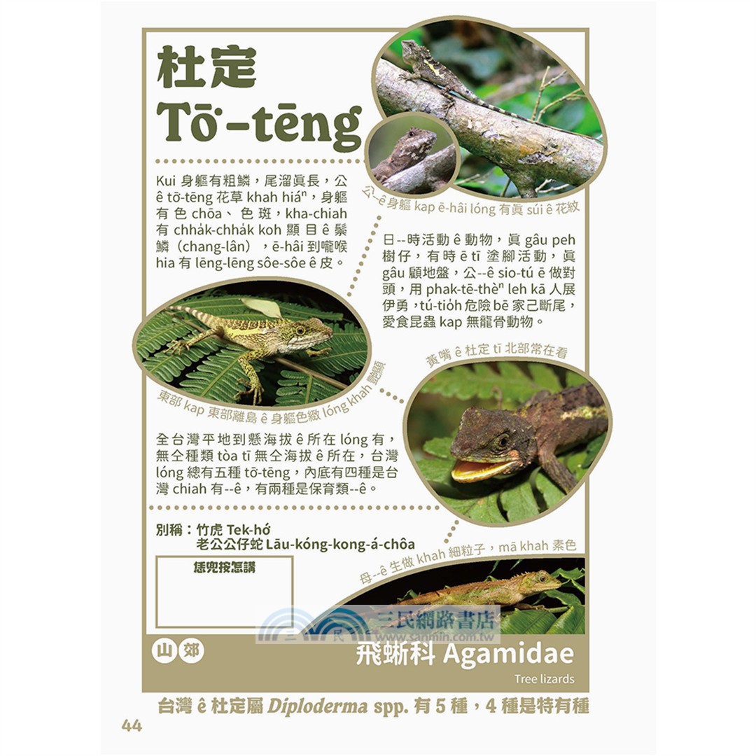 出外講台語：台灣自然生態套冊（動物影音繪本+台語動物圖鑑，共三冊）