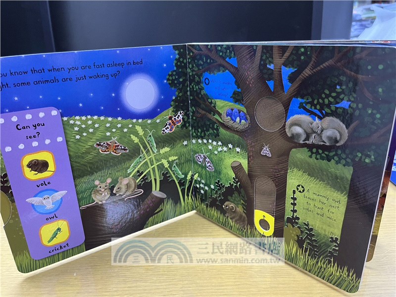 First Explorers: Animal Kingdom (共5本)(附音檔QRcode)