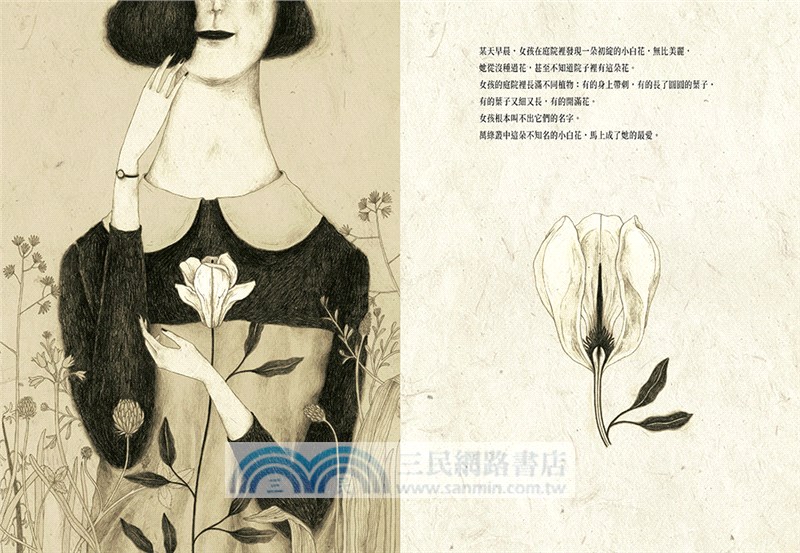 大衛‧卡利＆莫尼卡‧巴倫可「愛・相遇」套書：《白花之愛》＋《毫無來由的那日》＋《作家和他的狗》（共三冊）