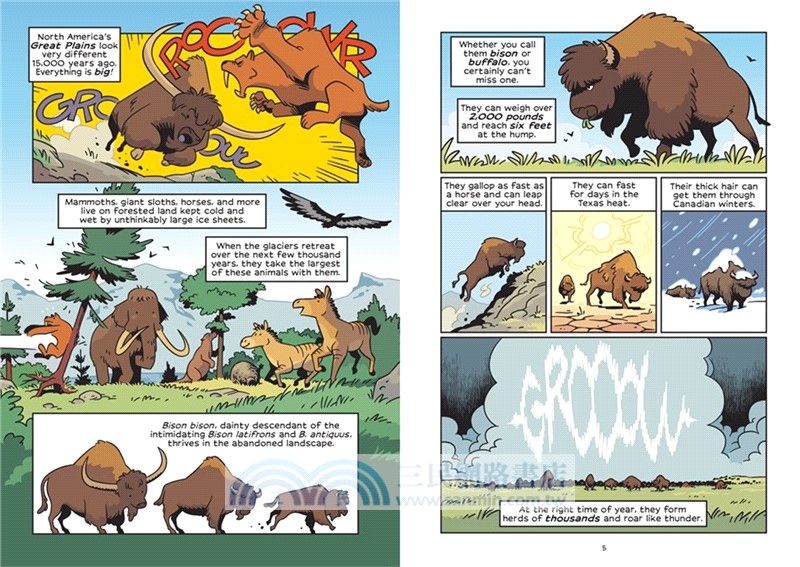 The American Bison: The Buffalo's Survival Tale (History Comics)