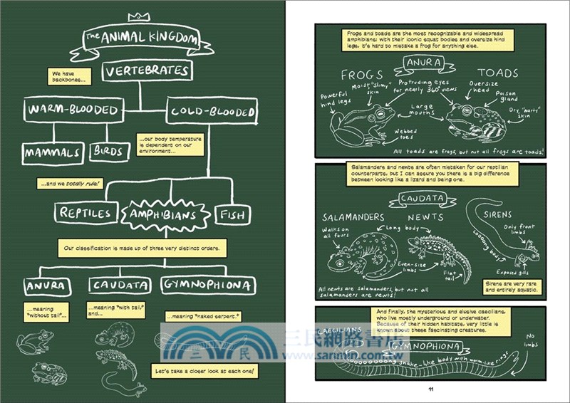 Frogs: Awesome Amphibians (Science Comics)