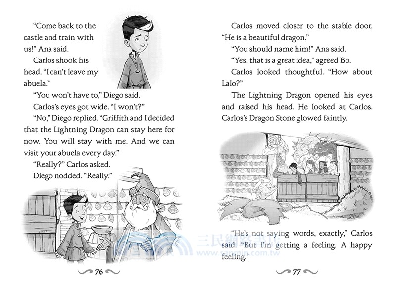 Fortress of the Stone Dragon: A Branches Book (Dragon Masters #17)(平裝本)