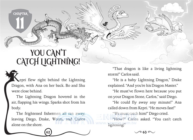 Night of the Dream Dragon: A Branches Book (Dragon Masters #28)(平裝本)