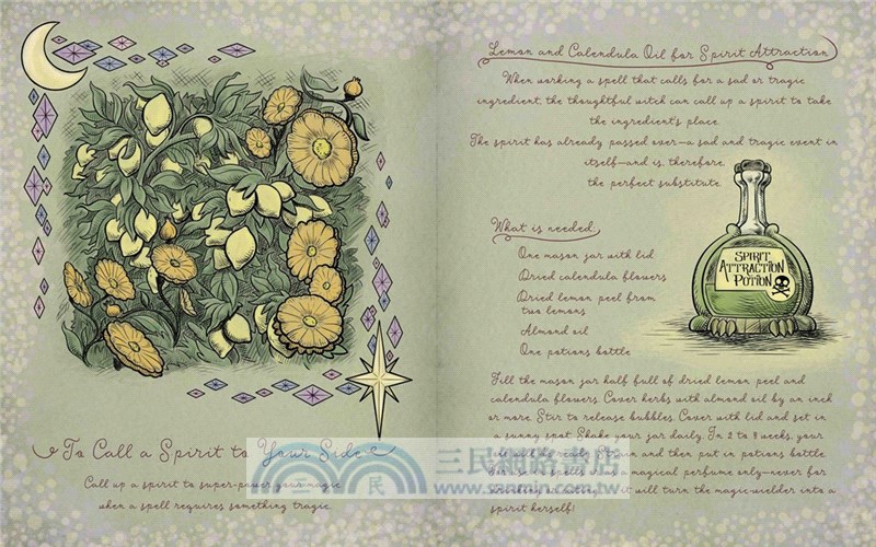 Star vs. the Forces of Evil The Magic Book of Spells